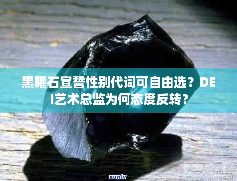 黑曜石宣誓性别代词可自由选？DEI艺术总监为何态度反转？