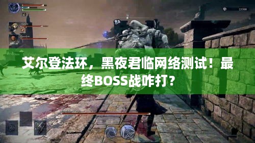 艾尔登法环，黑夜君临网络测试！最终BOSS战咋打？