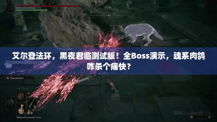 艾尔登法环，黑夜君临测试版！全Boss演示，魂系肉鸽咋杀个痛快？