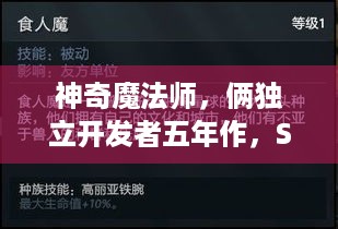 神奇魔法师，俩独立开发者五年作，Steam新品节咋玩？