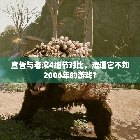 宣誓与老滚4细节对比，难道它不如2006年的游戏？