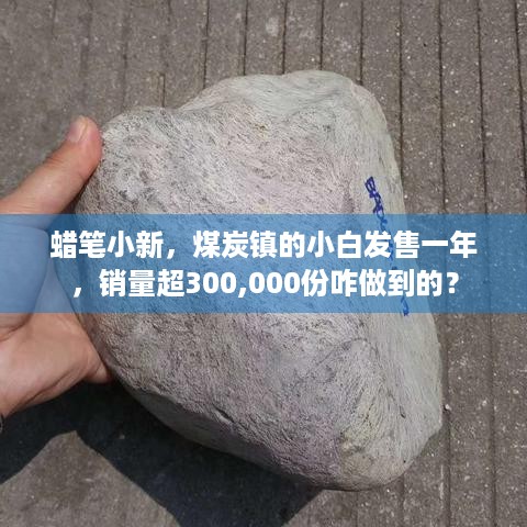 蜡笔小新，煤炭镇的小白发售一年，销量超300,000份咋做到的？