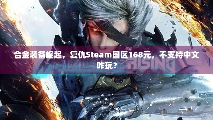 合金装备崛起，复仇Steam国区168元，不支持中文咋玩？