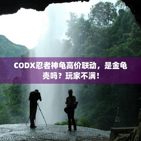 CODX忍者神龟高价联动，是金龟壳吗？玩家不满！