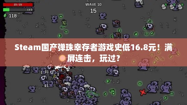 Steam国产弹珠幸存者游戏史低16.8元！满屏连击，玩过？