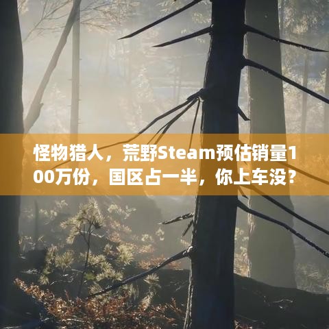 怪物猎人，荒野Steam预估销量100万份，国区占一半，你上车没？