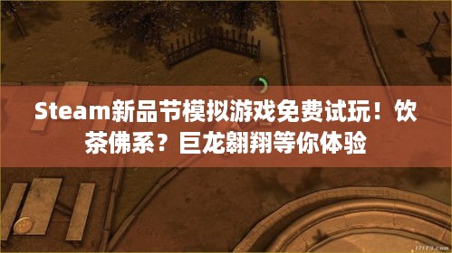 Steam新品节模拟游戏免费试玩！饮茶佛系？巨龙翱翔等你体验