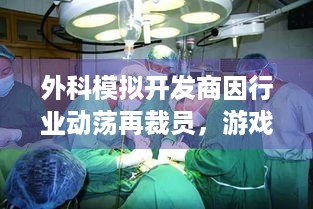 外科模拟开发商因行业动荡再裁员，游戏未来何去何从？