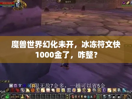 魔兽世界幻化未开，冰冻符文快1000金了，咋整？