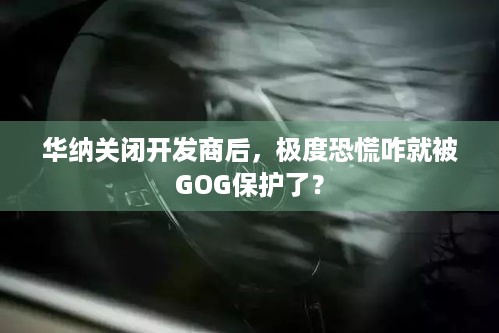 华纳关闭开发商后，极度恐慌咋就被GOG保护了？