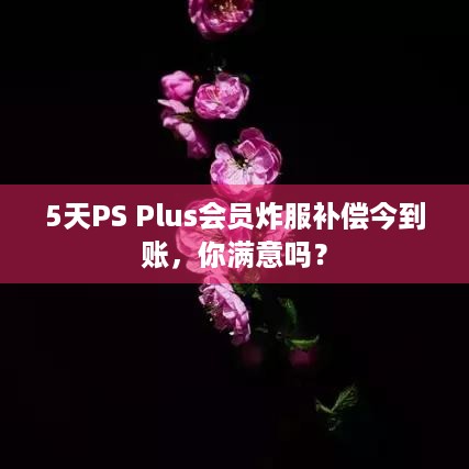 5天PS Plus会员炸服补偿今到账，你满意吗？