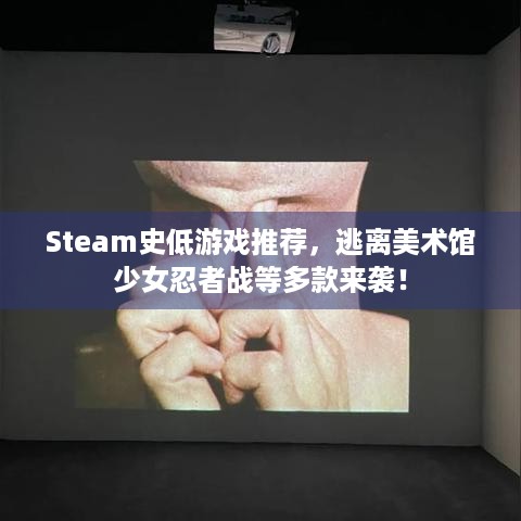 Steam史低游戏推荐，逃离美术馆少女忍者战等多款来袭！