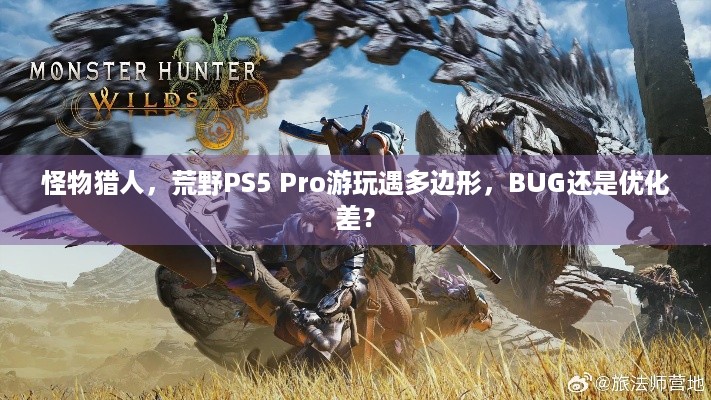 怪物猎人，荒野PS5 Pro游玩遇多边形，BUG还是优化差？