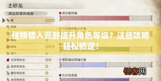 怪物猎人荒野提升角色等级？这些攻略轻松搞定！