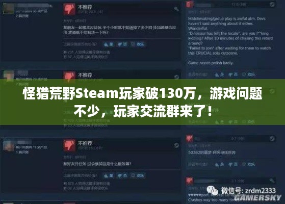 怪猎荒野Steam玩家破130万，游戏问题不少，玩家交流群来了！