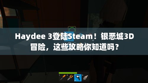 Haydee 3登陆Steam！银恶城3D冒险，这些攻略你知道吗？