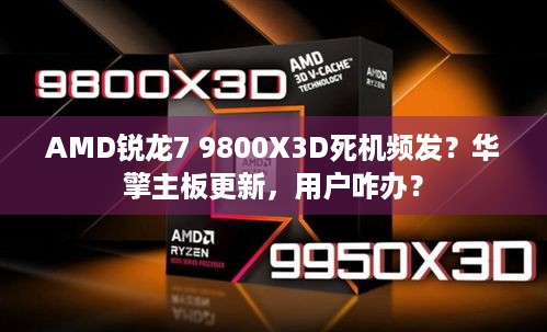 AMD锐龙7 9800X3D死机频发？华擎主板更新，用户咋办？