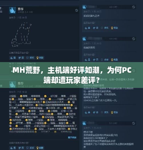 MH荒野，主机端好评如潮，为何PC端却遭玩家差评？