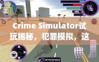 Crime Simulator试玩揭秘，犯罪模拟，这些要点你都知道吗？