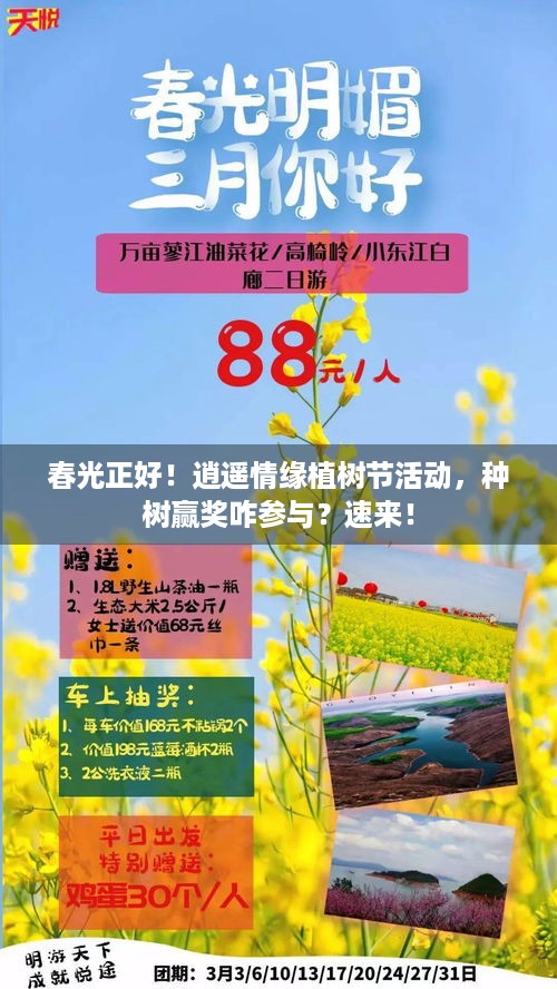 春光正好！逍遥情缘植树节活动，种树赢奖咋参与？速来！