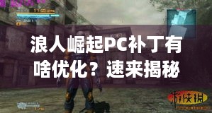 浪人崛起PC补丁有啥优化？速来揭秘！