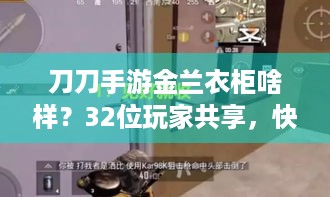 刀刀手游金兰衣柜啥样？32位玩家共享，快来了解！