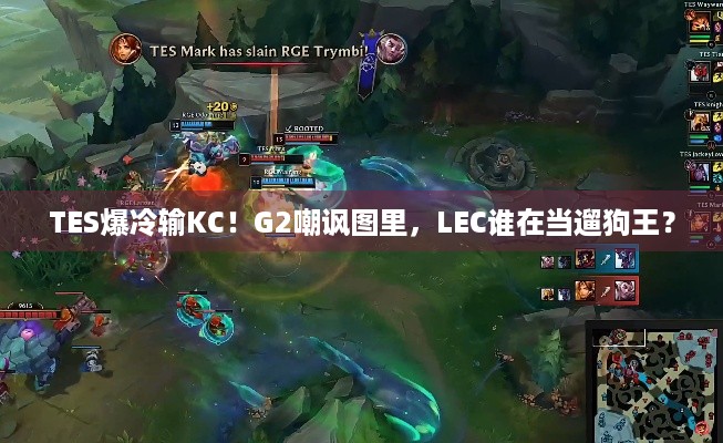 TES爆冷输KC！G2嘲讽图里，LEC谁在当遛狗王？