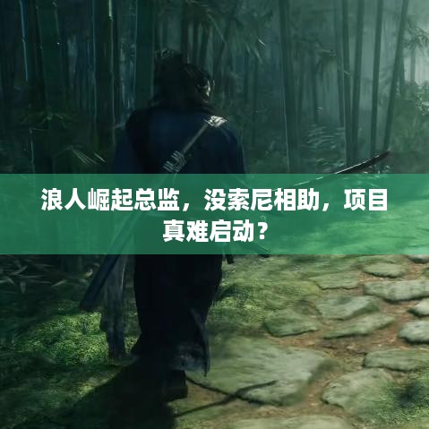 浪人崛起总监，没索尼相助，项目真难启动？