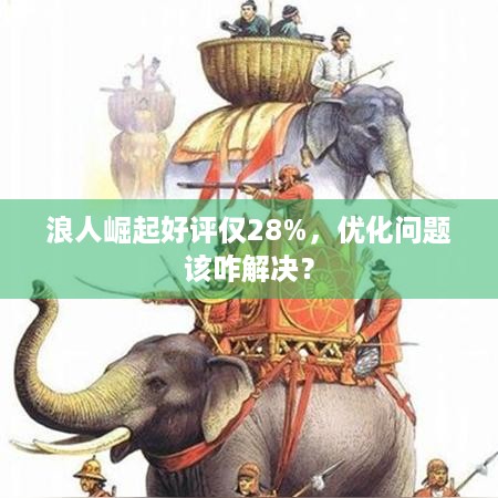 浪人崛起好评仅28%，优化问题该咋解决？