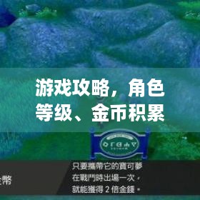 游戏攻略，角色等级、金币积累及体验提升，这些技巧你知道吗？