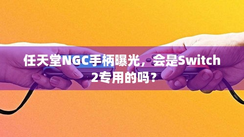 任天堂NGC手柄曝光，会是Switch 2专用的吗？