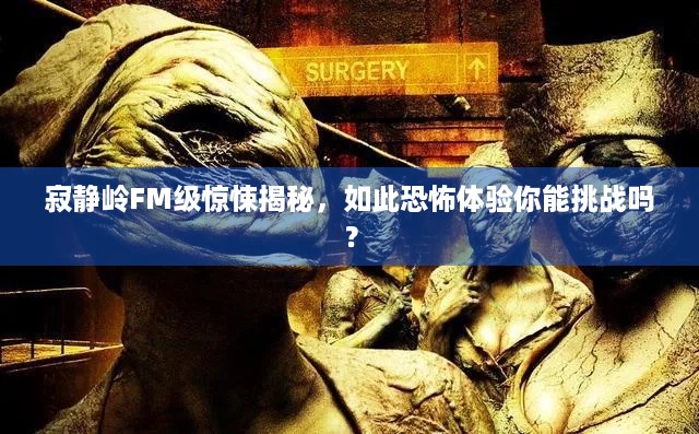 寂静岭FM级惊悚揭秘，如此恐怖体验你能挑战吗？