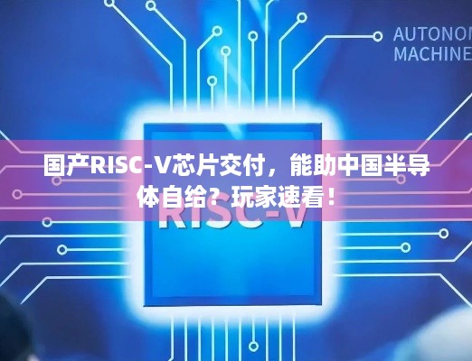 国产RISC-V芯片交付，能助中国半导体自给？玩家速看！