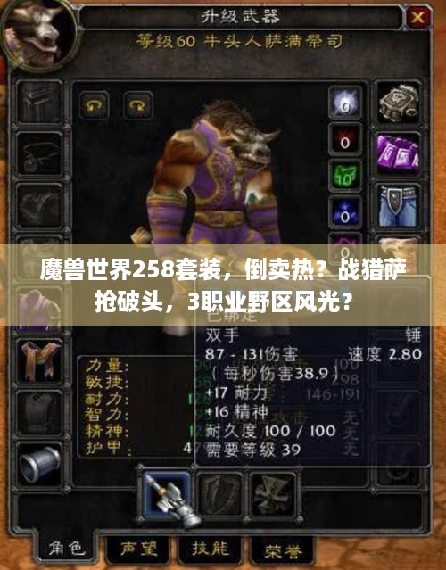 魔兽世界258套装，倒卖热？战猎萨抢破头，3职业野区风光？