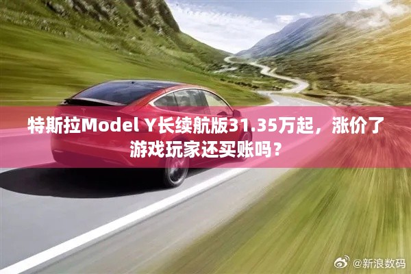 特斯拉Model Y长续航版31.35万起，涨价了游戏玩家还买账吗？